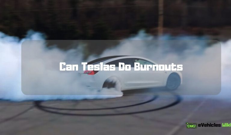 Can Teslas Do Burnouts